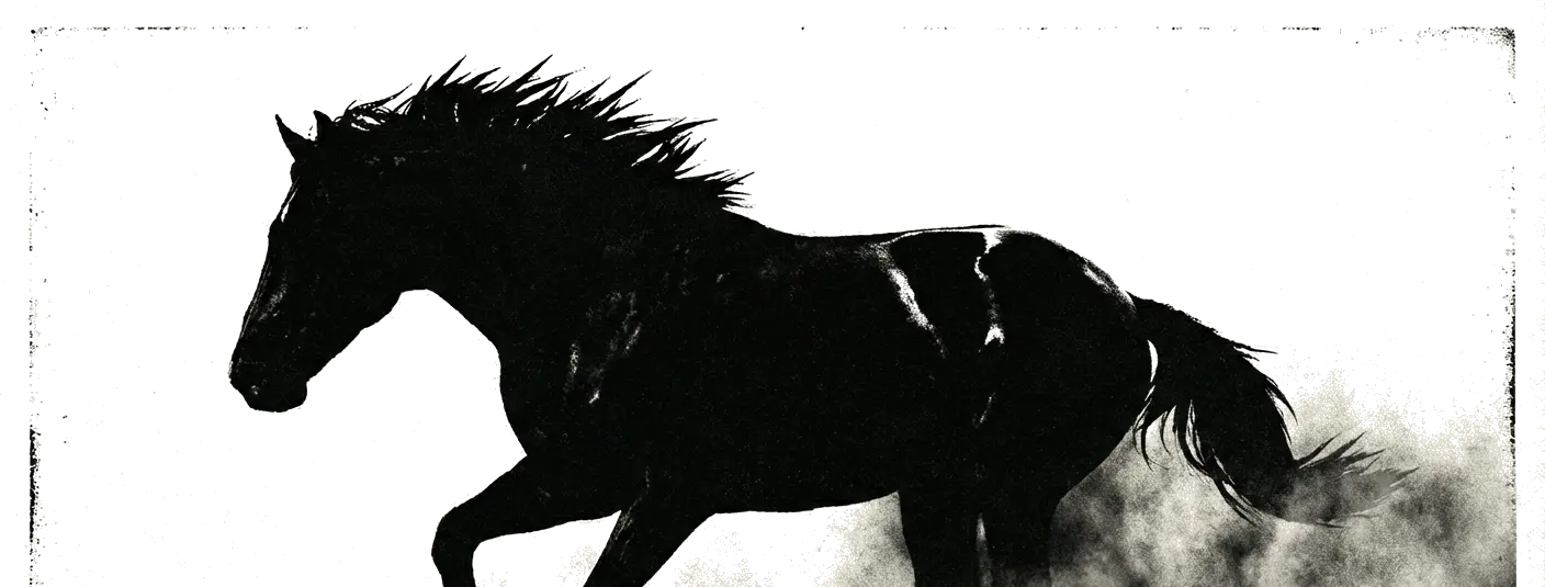 A horse at full gallop